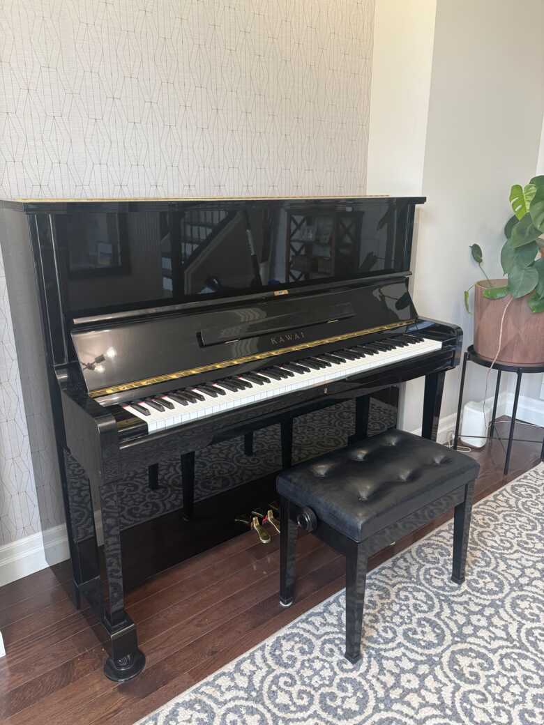 Kawai NS20A