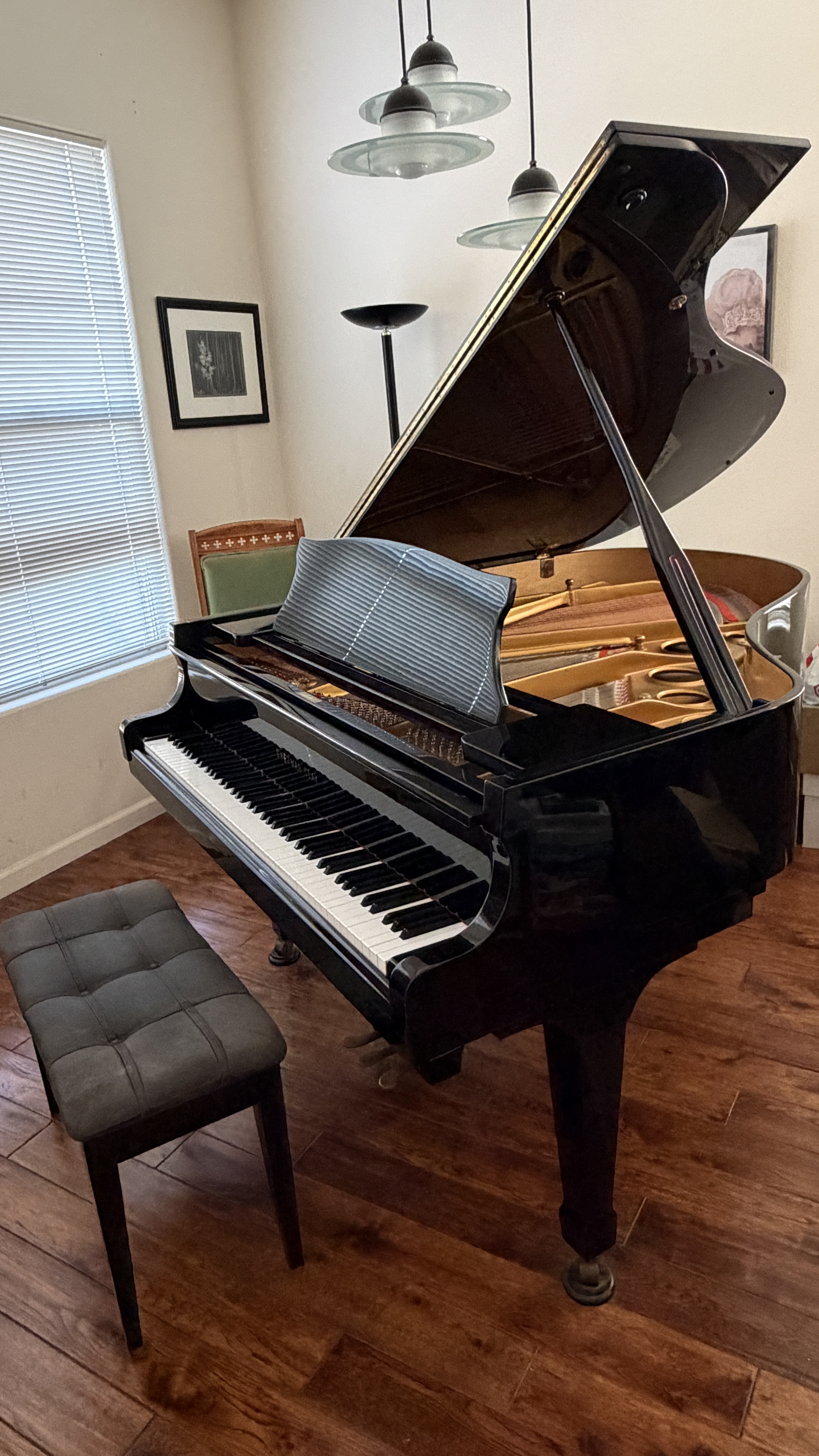 Beautiful ebony Sherman Clay grand piano