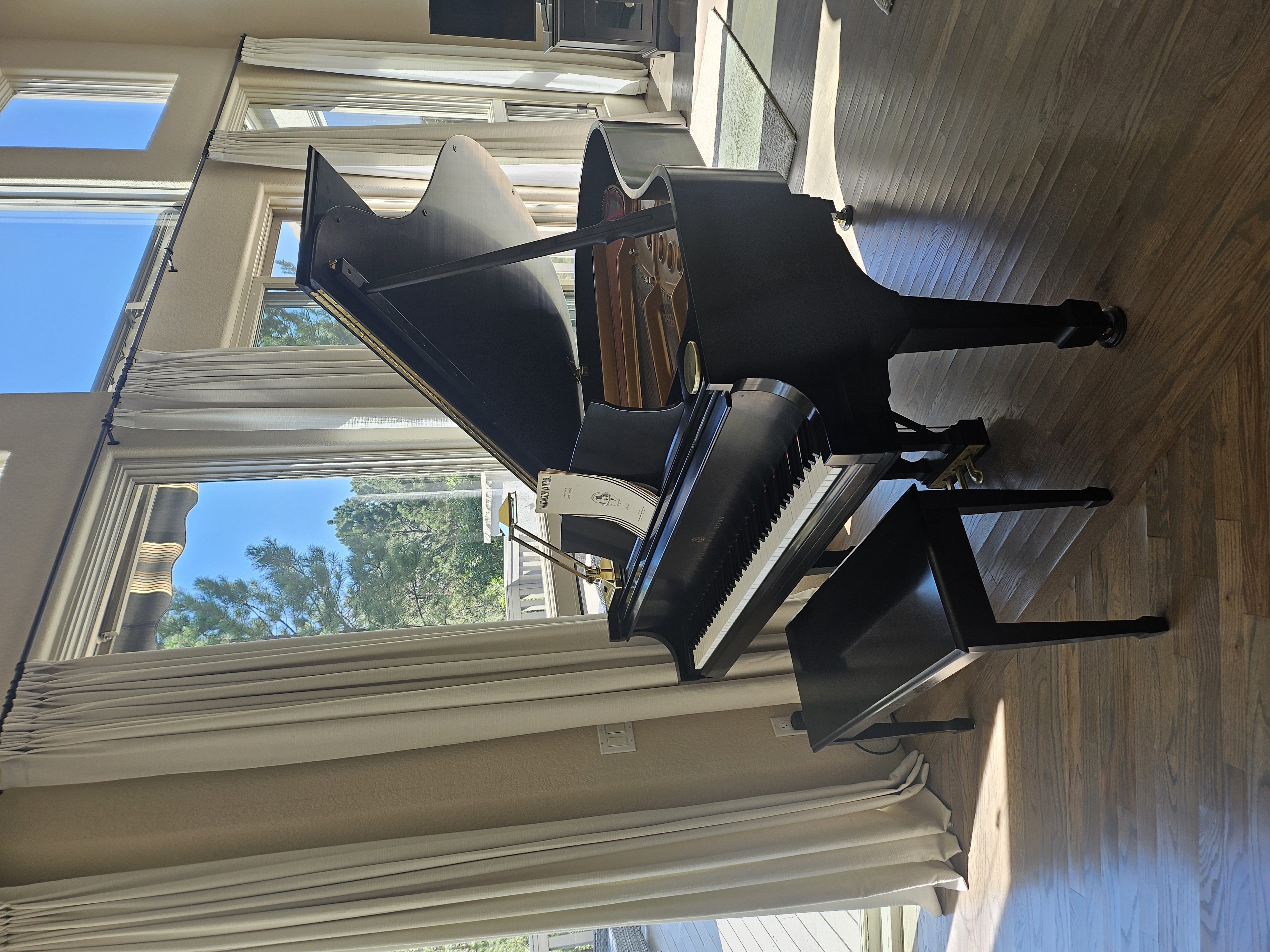 Elegant Grand Stienway 5.7 Satin Ebony