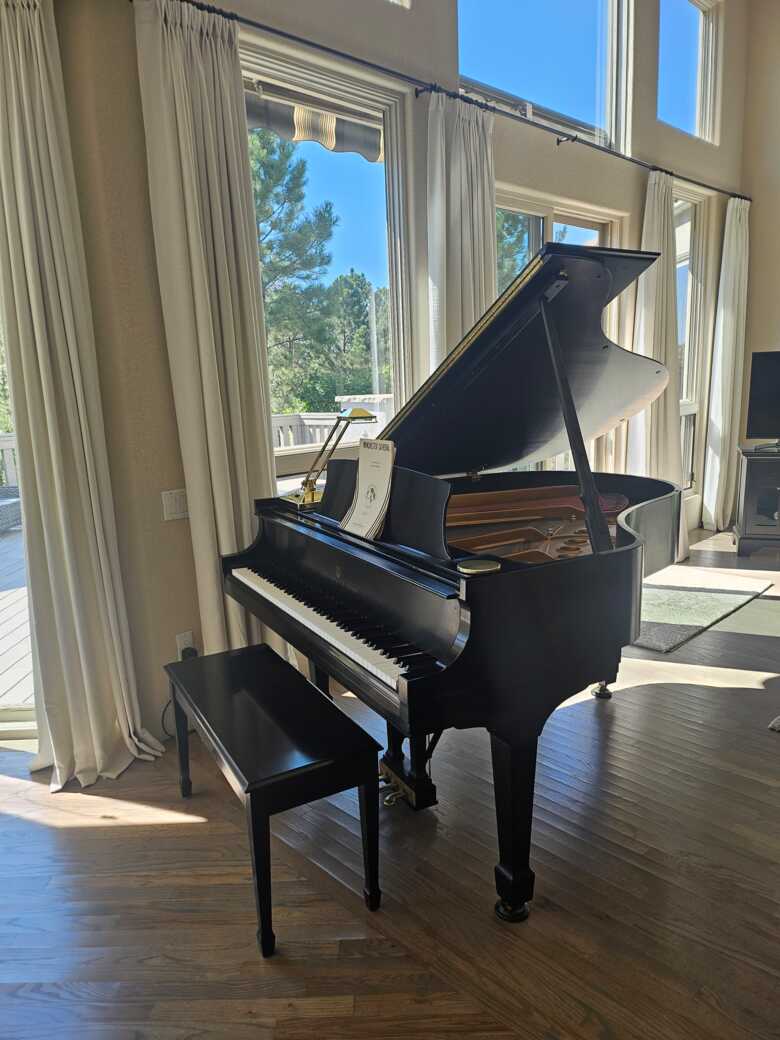 Elegant Grand Stienway 5.7 Satin Ebony
