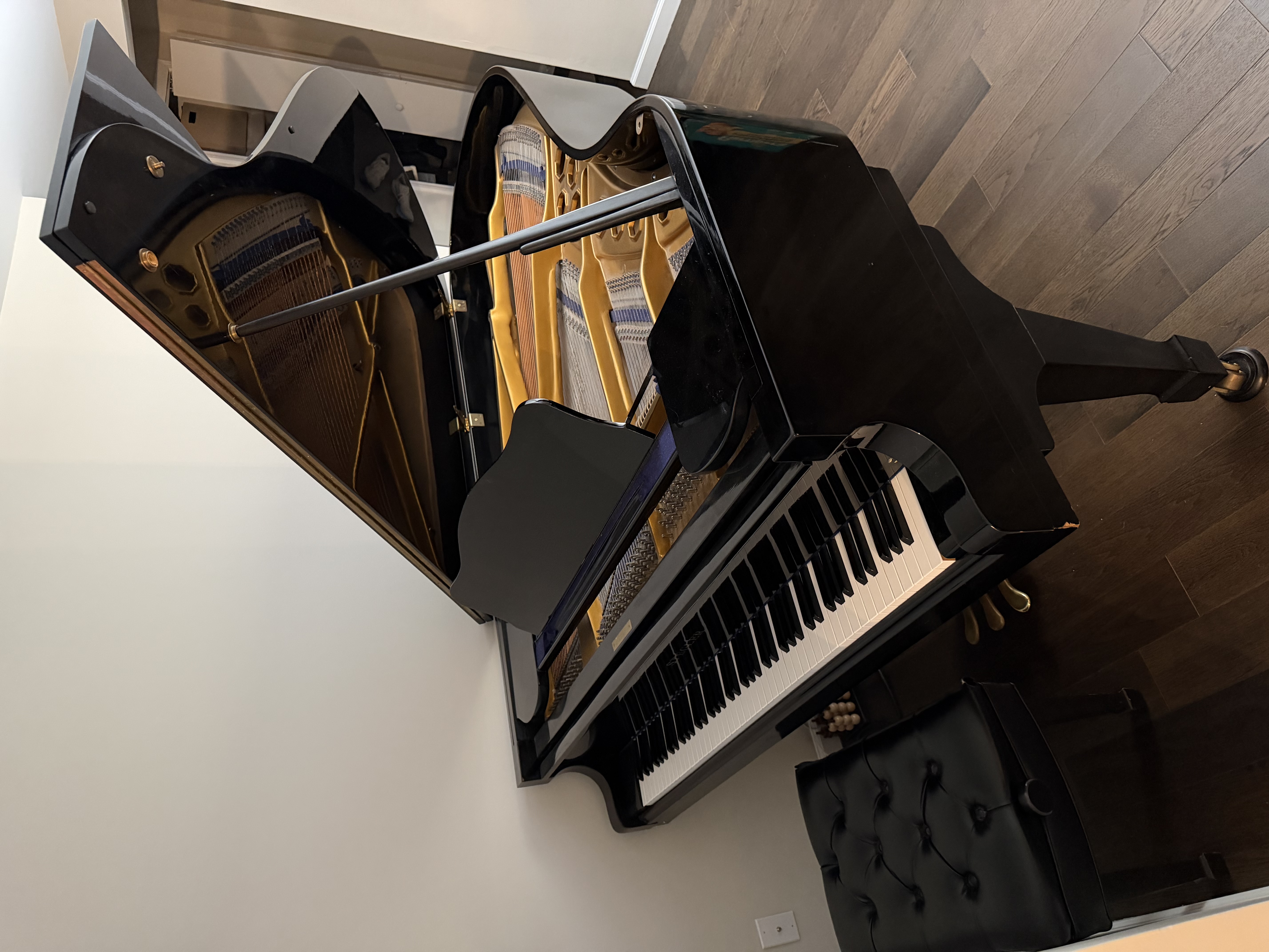 1981 Stegler (Samick) G5A 6’10” Grand Piano 