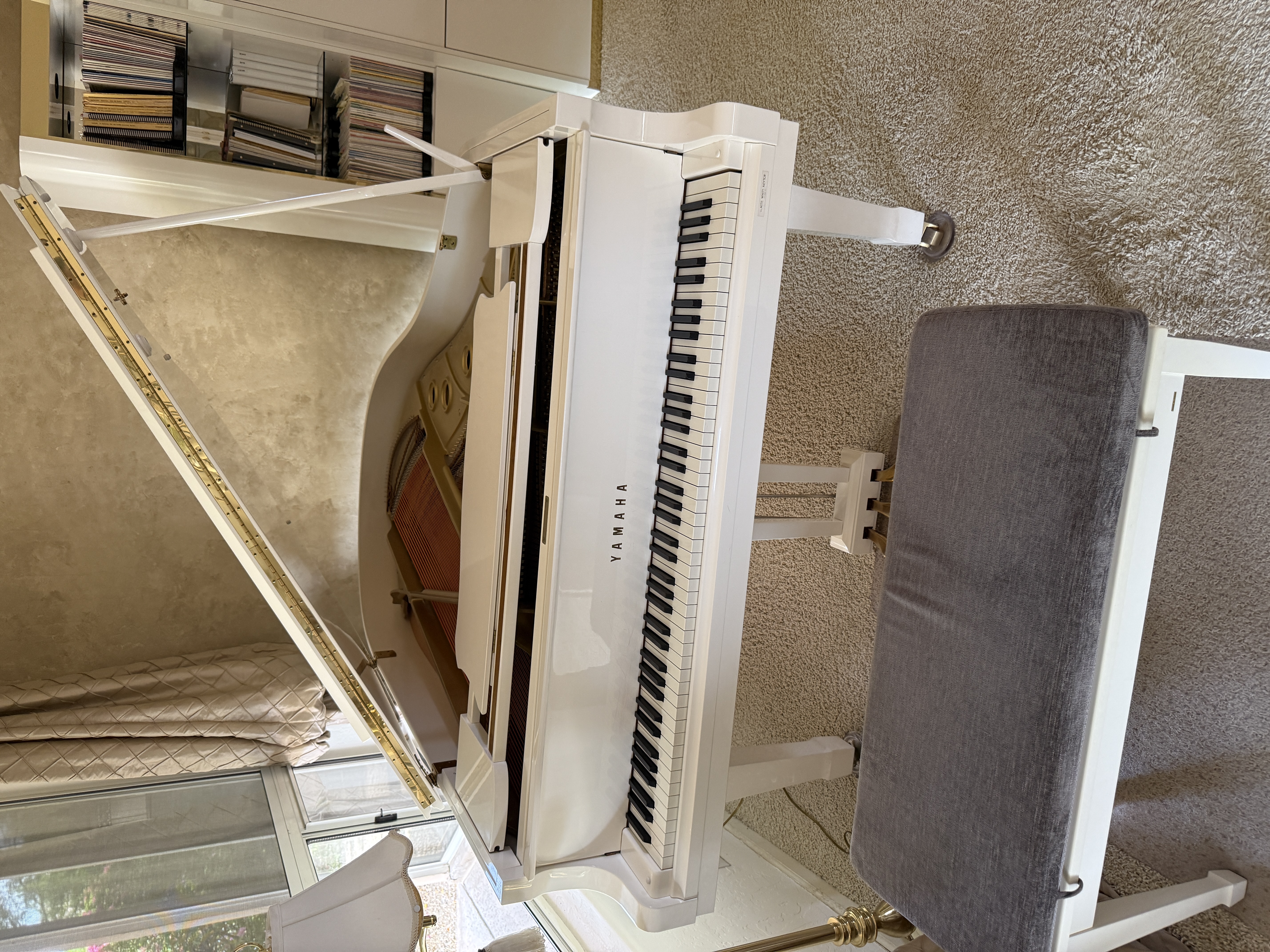 Music Teacher's Prized Piano