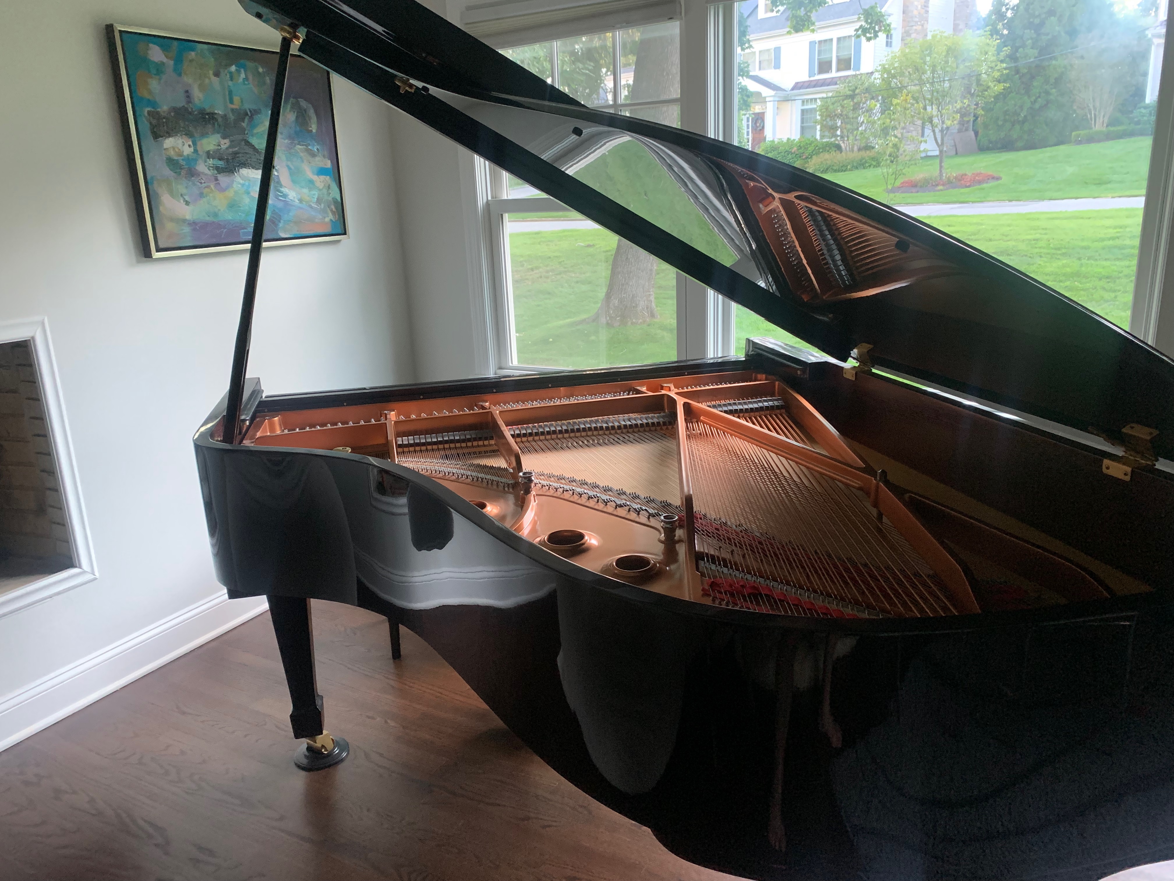 2006 Brodmann PE-187 Grand Piano (6'2") – Pristine Condition