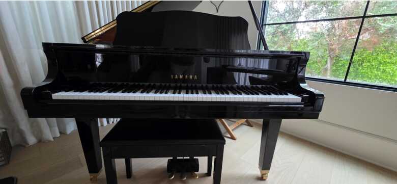 2019 Yamaha DGB1K ENCL Disklavier Baby Grand