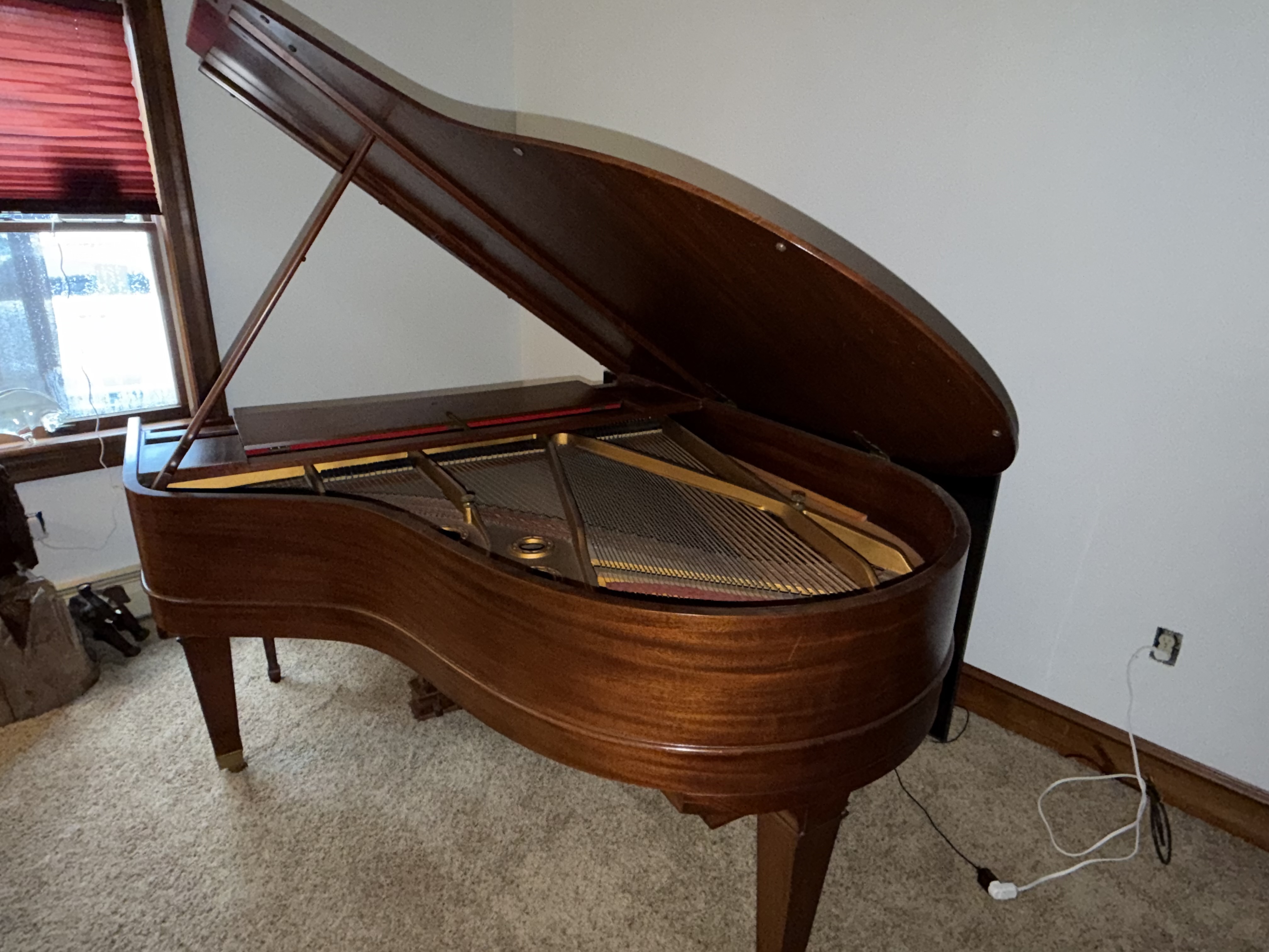 Beautiful Baby Grand 