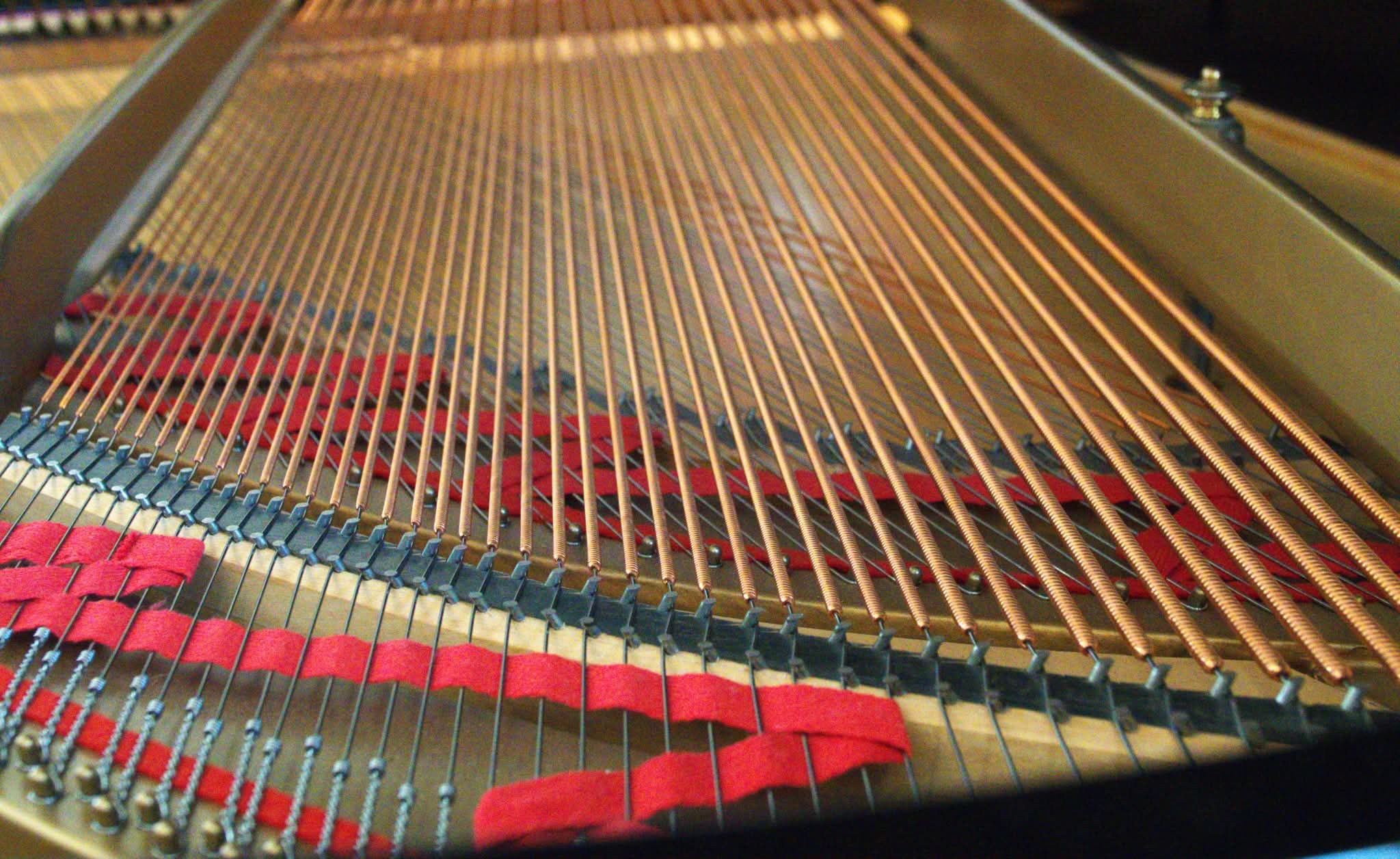 1930 Hamburg Steinway & Sons Model M | Fully Restored by Bri
