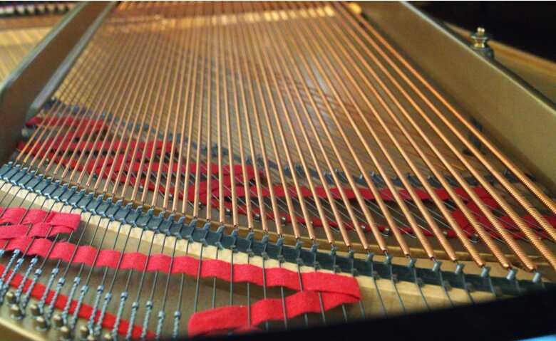 1930 Hamburg Steinway & Sons Model M | Fully Restored by Bri