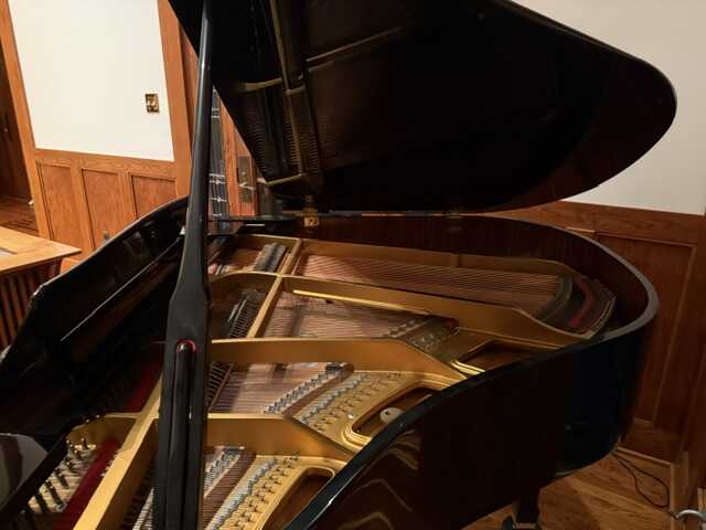 Baby Grand - Must Sell