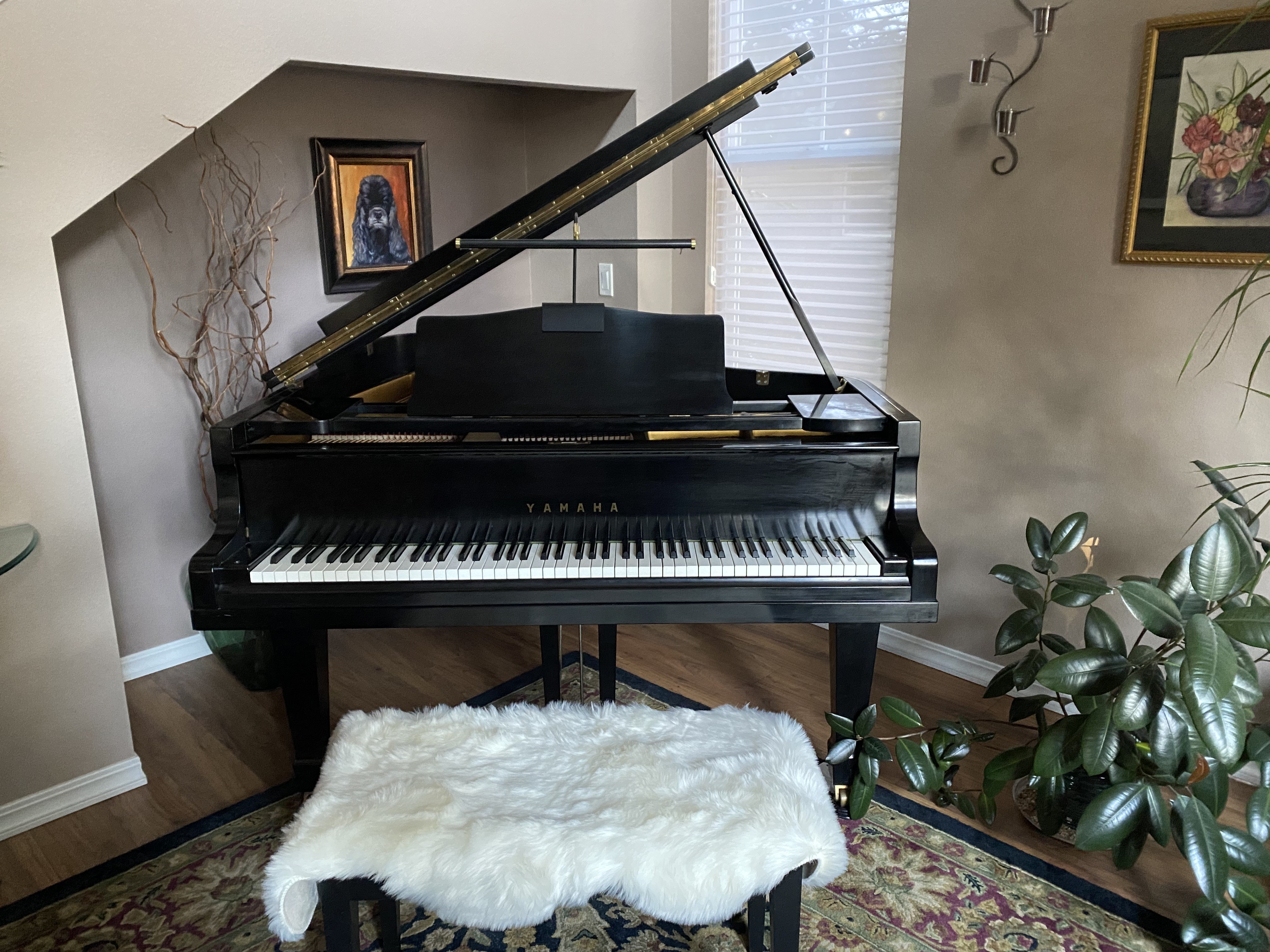 Yamaha G2 Parlor Grand Bench Included