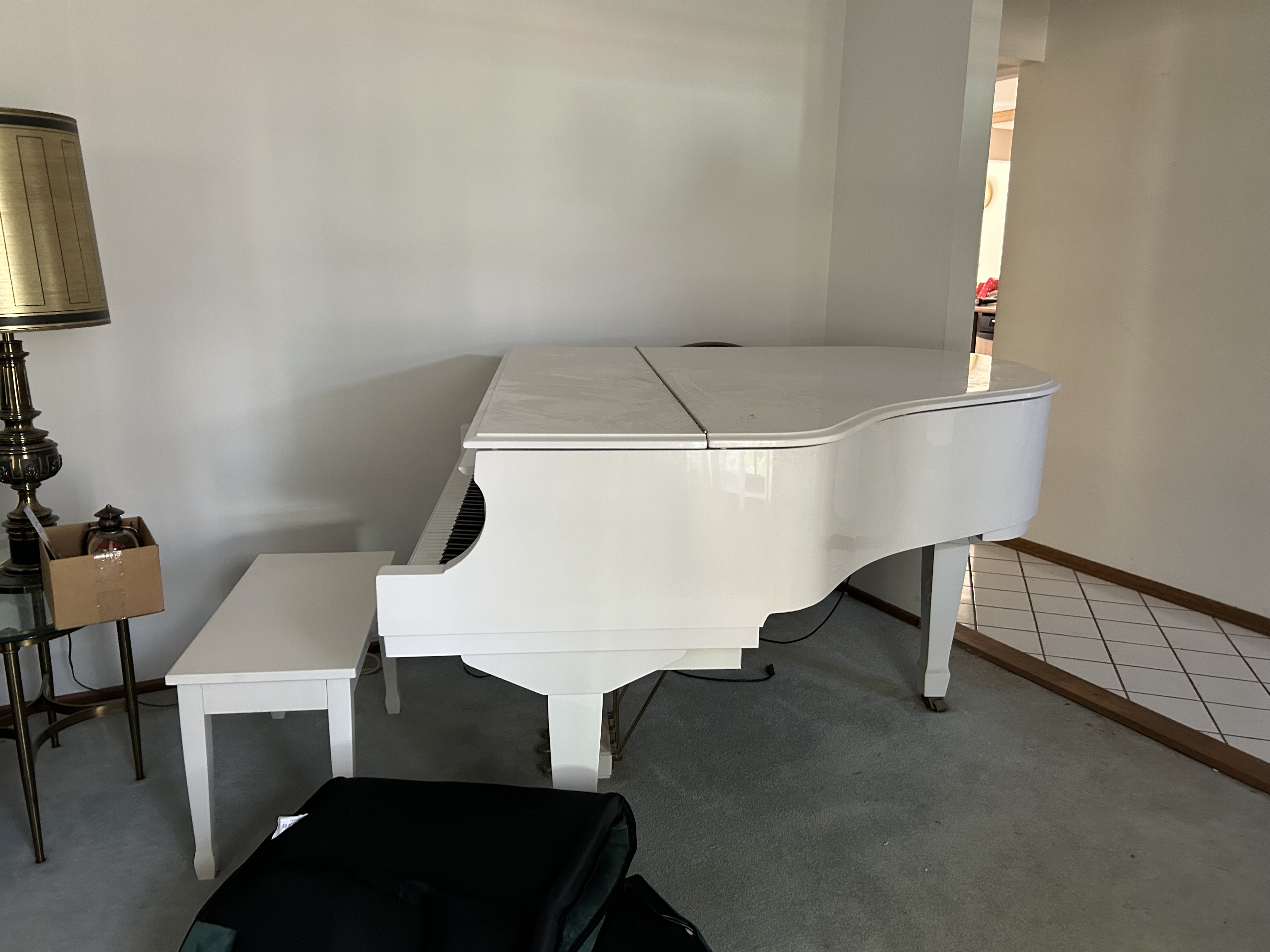 Beautiful and in Excellent Condition 