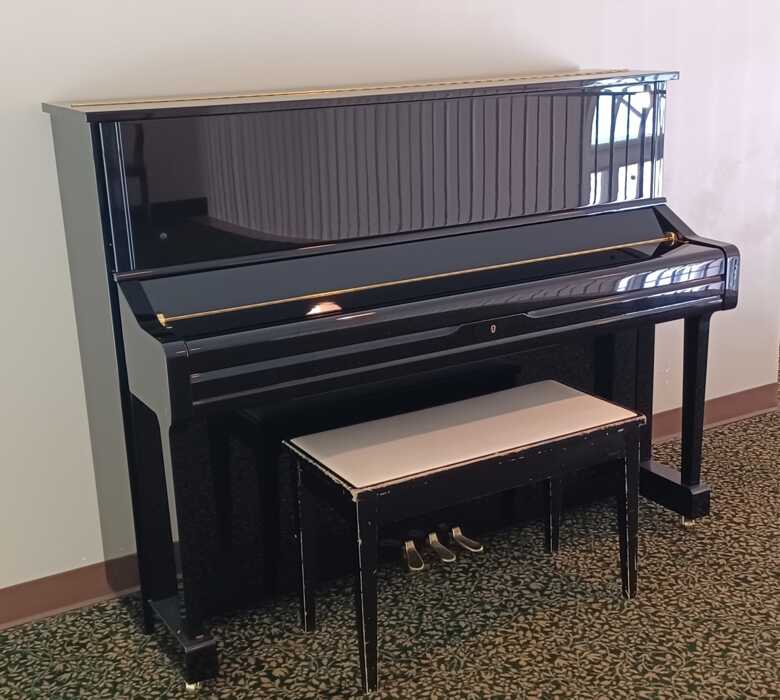 2001 Yamaha U1 For Sale - Great condition!