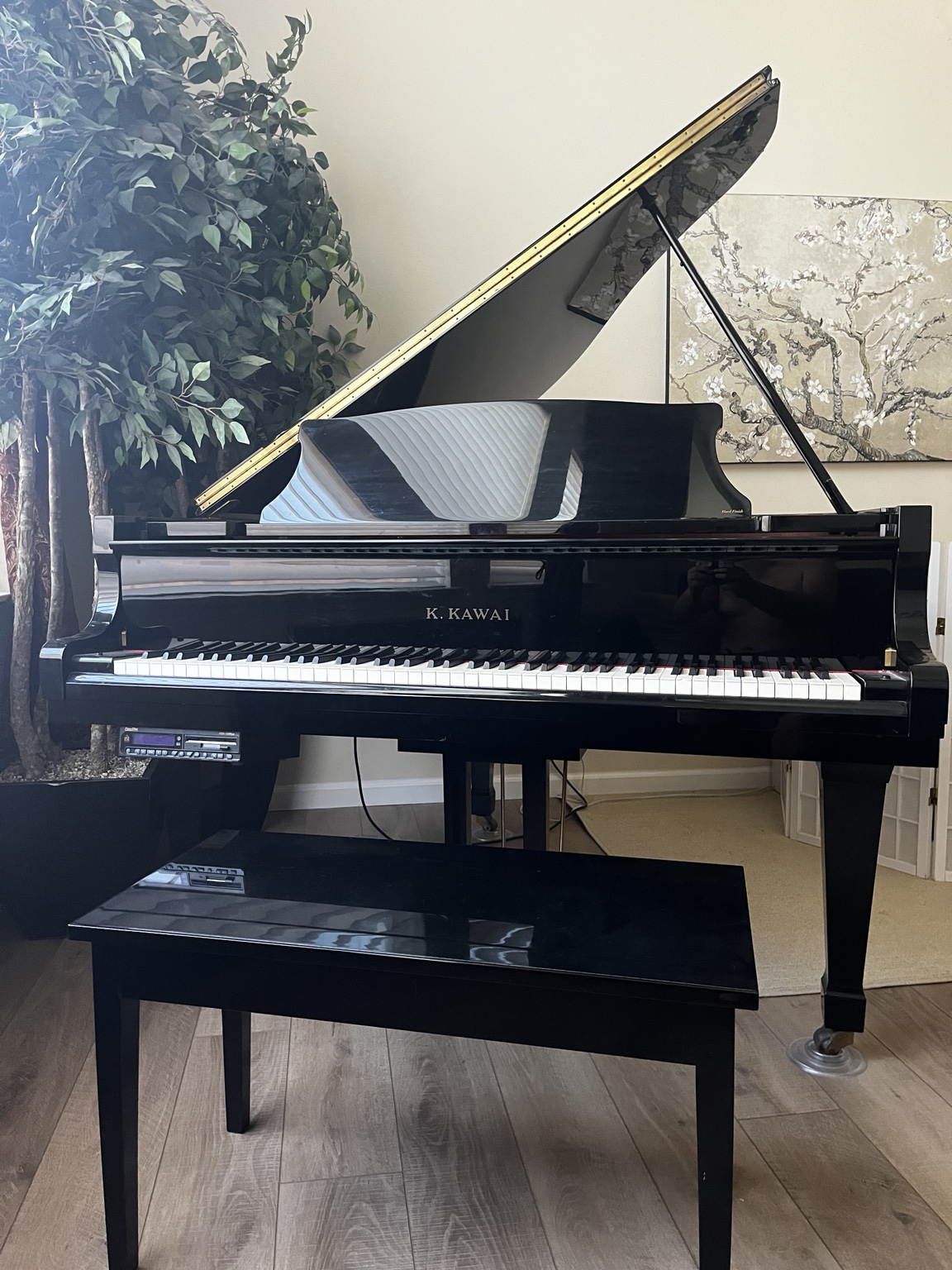 Kawai RX-1 5'5" Grand Piano with PianoDisc Player System – P