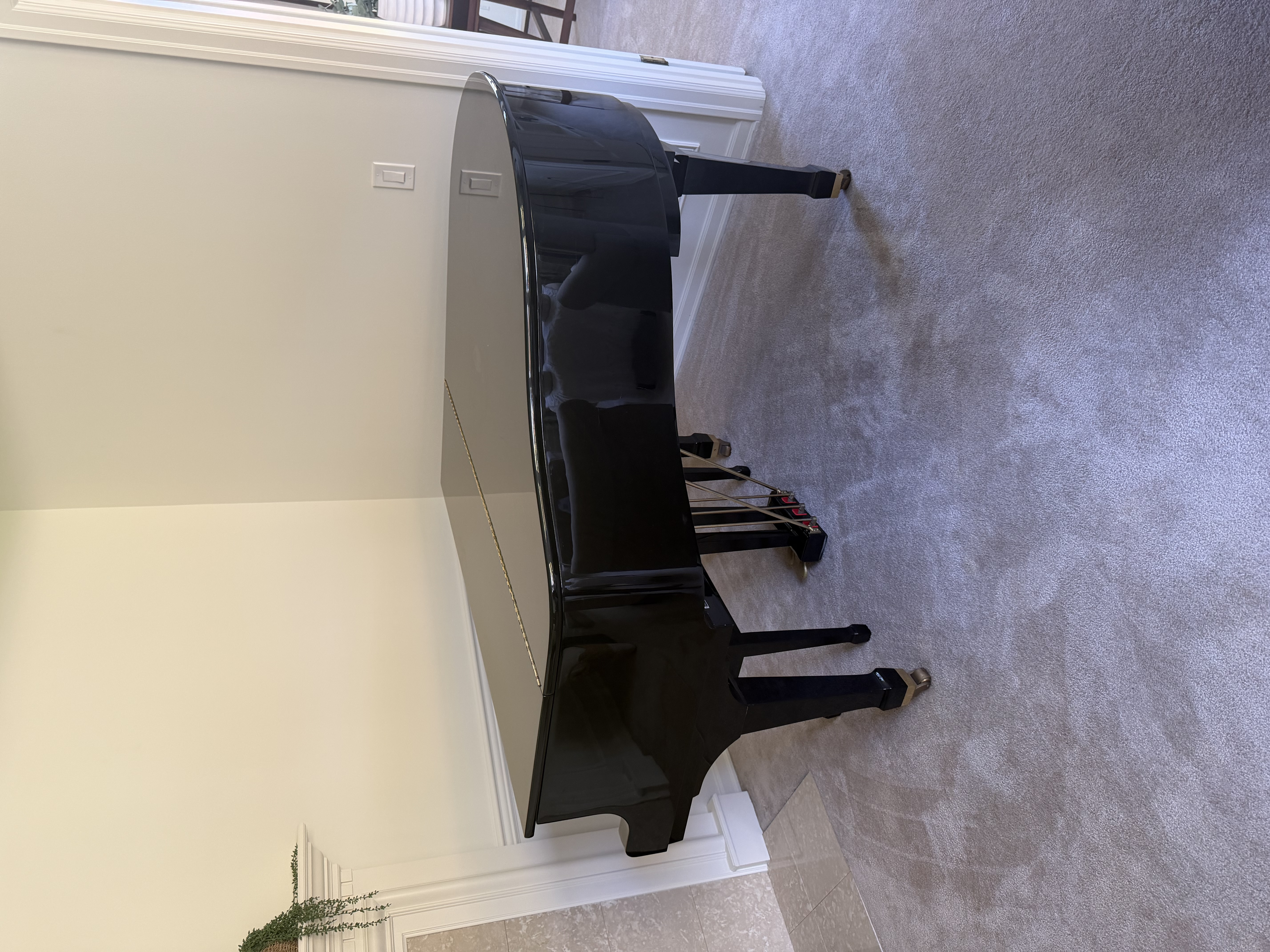 Beautiful Black Baby Grand
