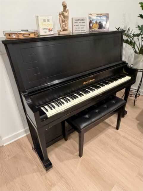 Mason & Hamlin Model 50 Professional Upright Excellent Cond.