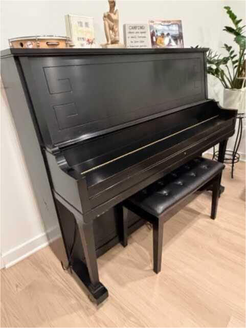 Mason & Hamlin Model 50 Professional Upright Excellent Cond.