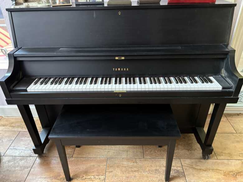 Yamaha P22 SE - Excellent Condition