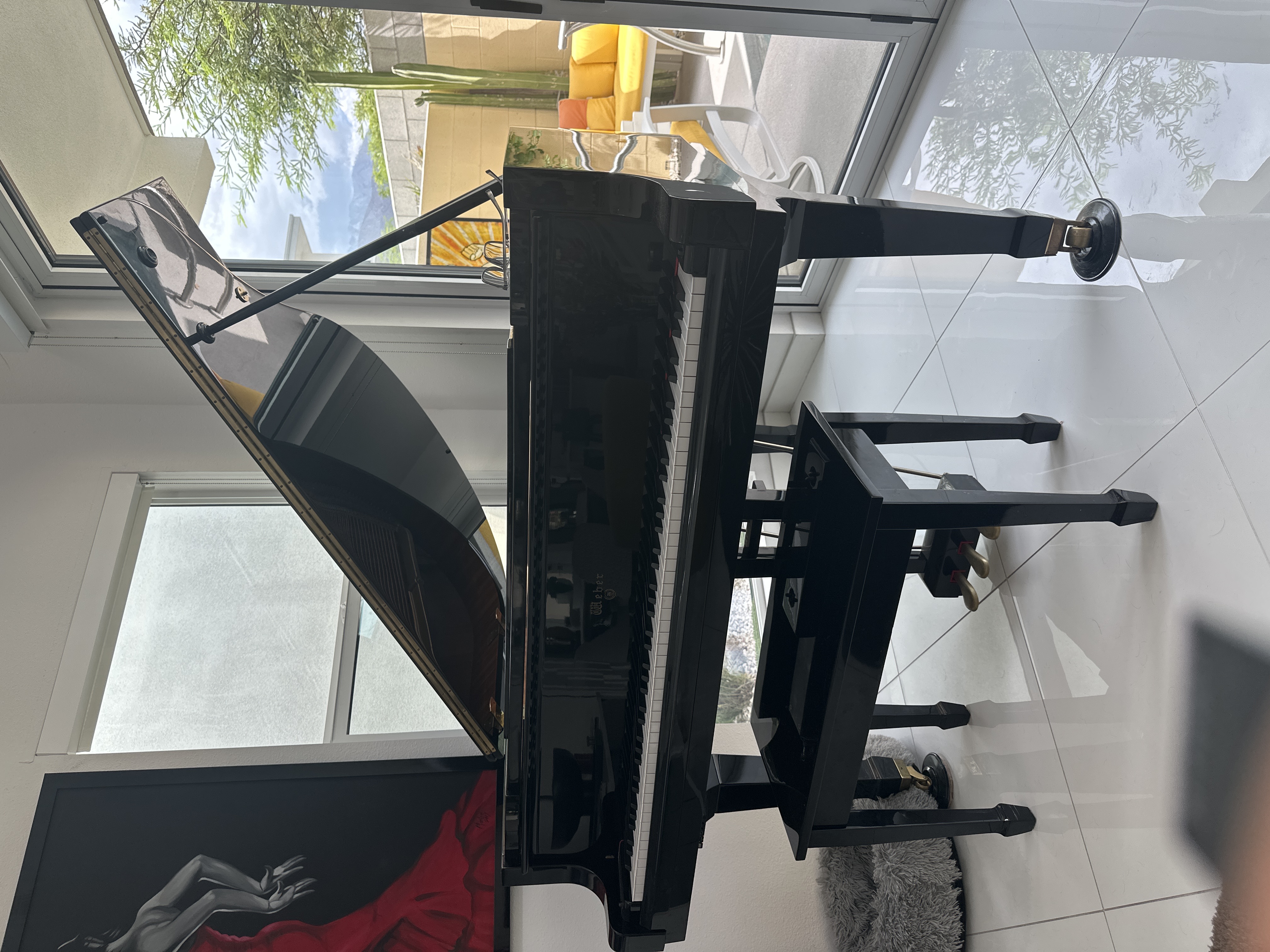 Weber Baby Grand