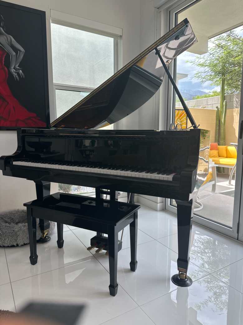 Weber Baby Grand