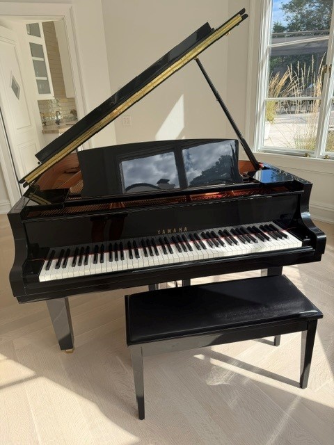 Yamaha C2X Mint Condition