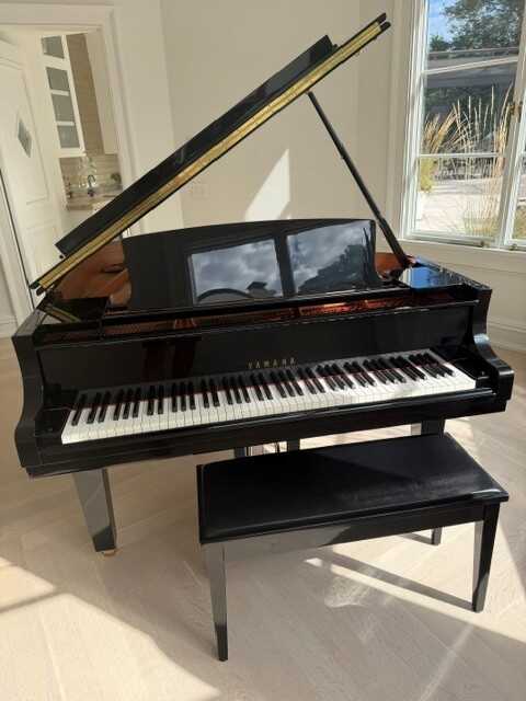 Yamaha C2X Mint Condition