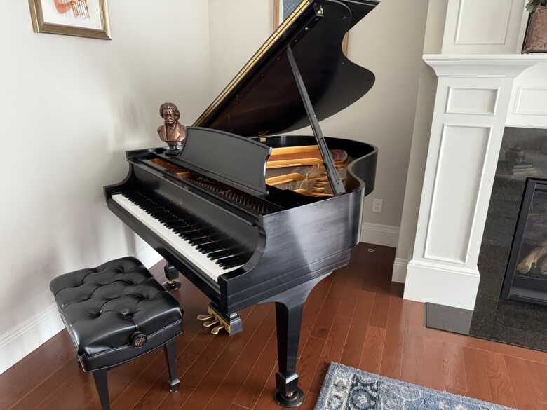 Steinway Grand Piano Model M - One Owner