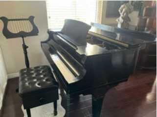 One owner -- a professional pianist