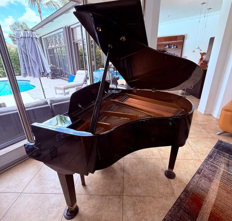 G. Steck Baby Grand Piano with Piano Disc Player 
