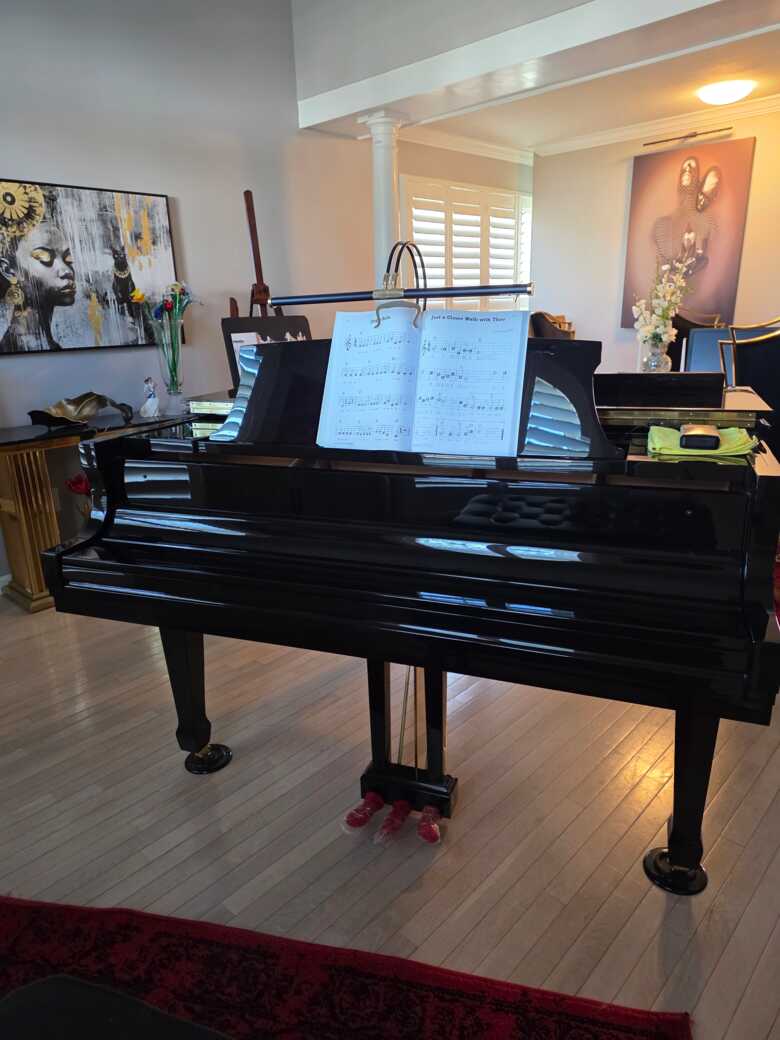 Beautiful polished ebony grand piano