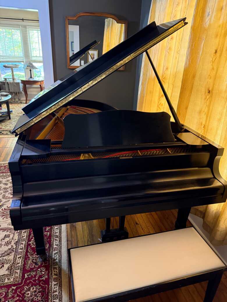 Pristine condition Conservatory Grand