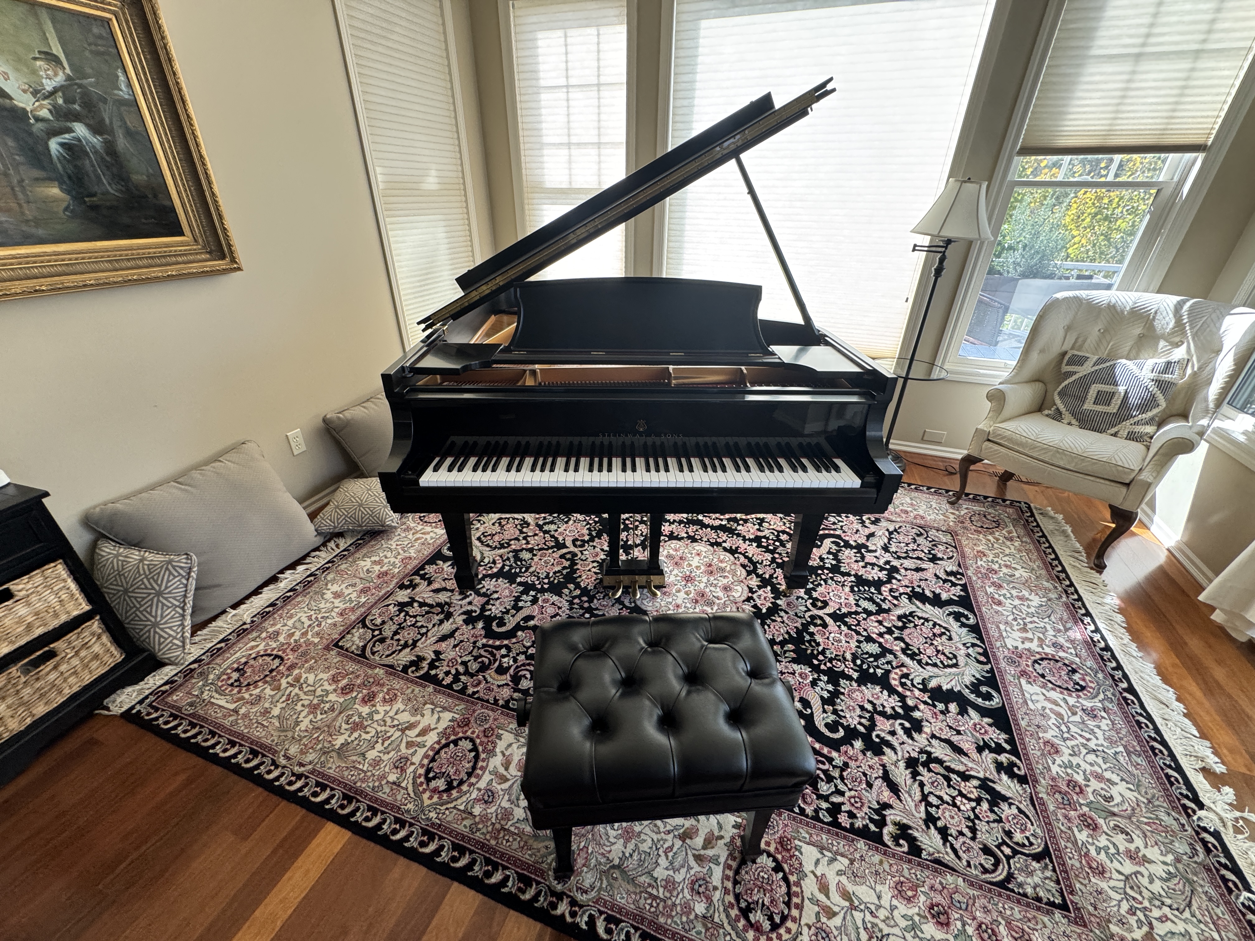 2009 Steinway & Sons A Model 6' 2" Grand Piano