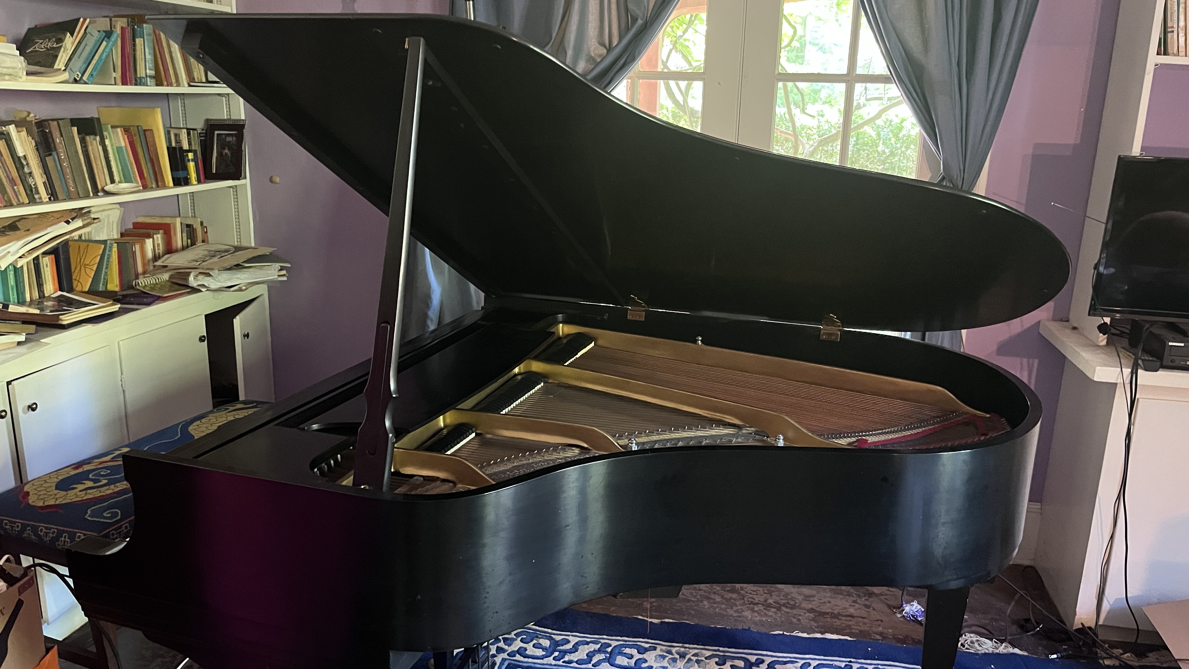 Steinway Grand - Model M - great condition