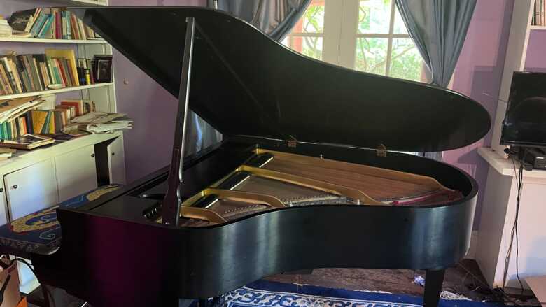 Steinway Grand - Model M - great condition