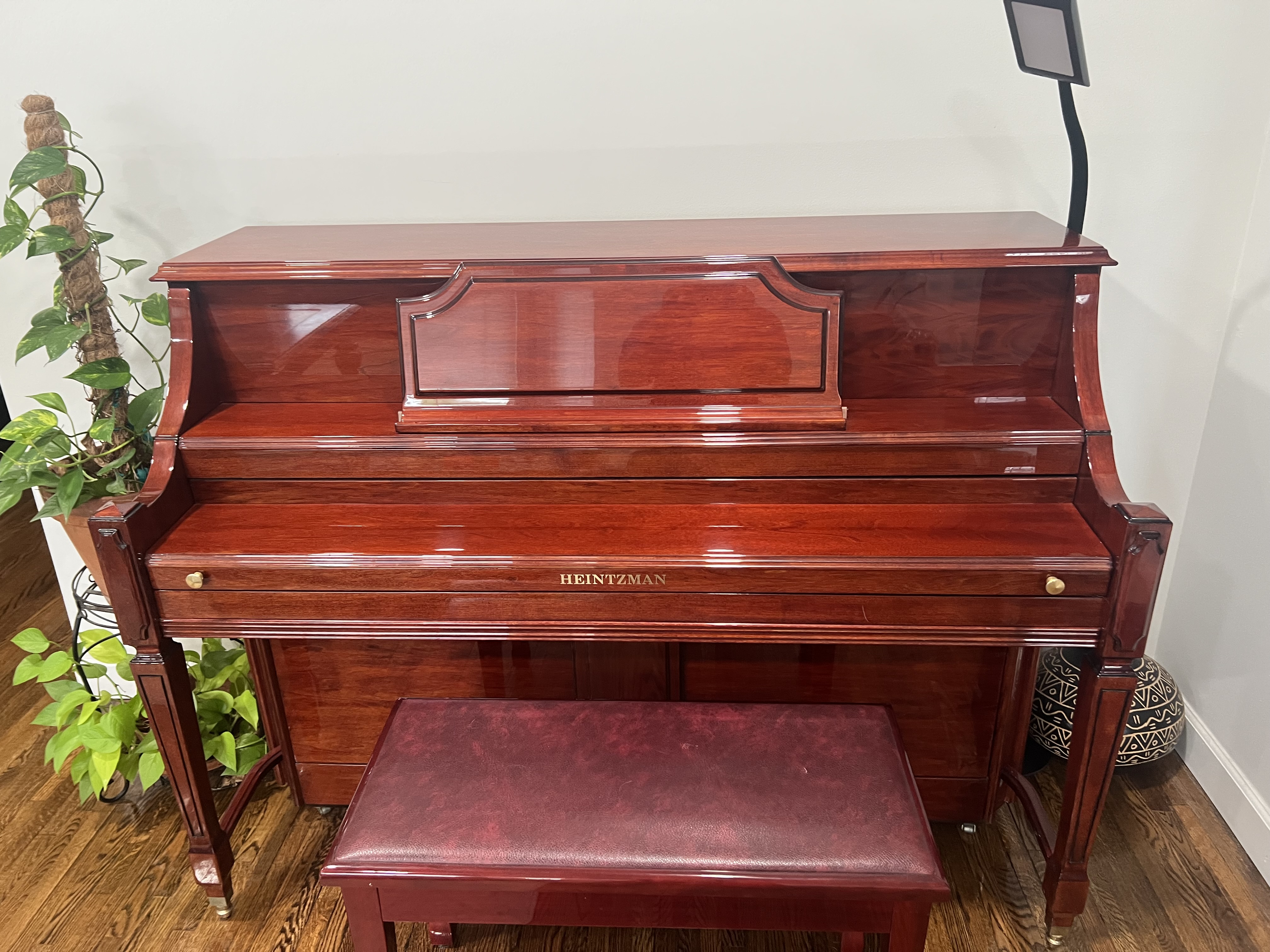 Premium Heintzman 110 Upright Piano Sale- Modern & Excellent
