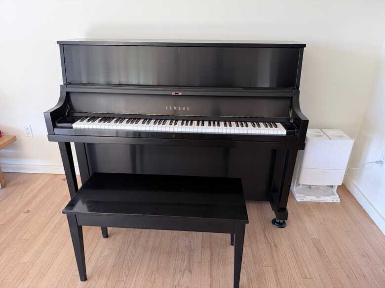 2007 Yamaha P22 SE Studio-Excellent Condition