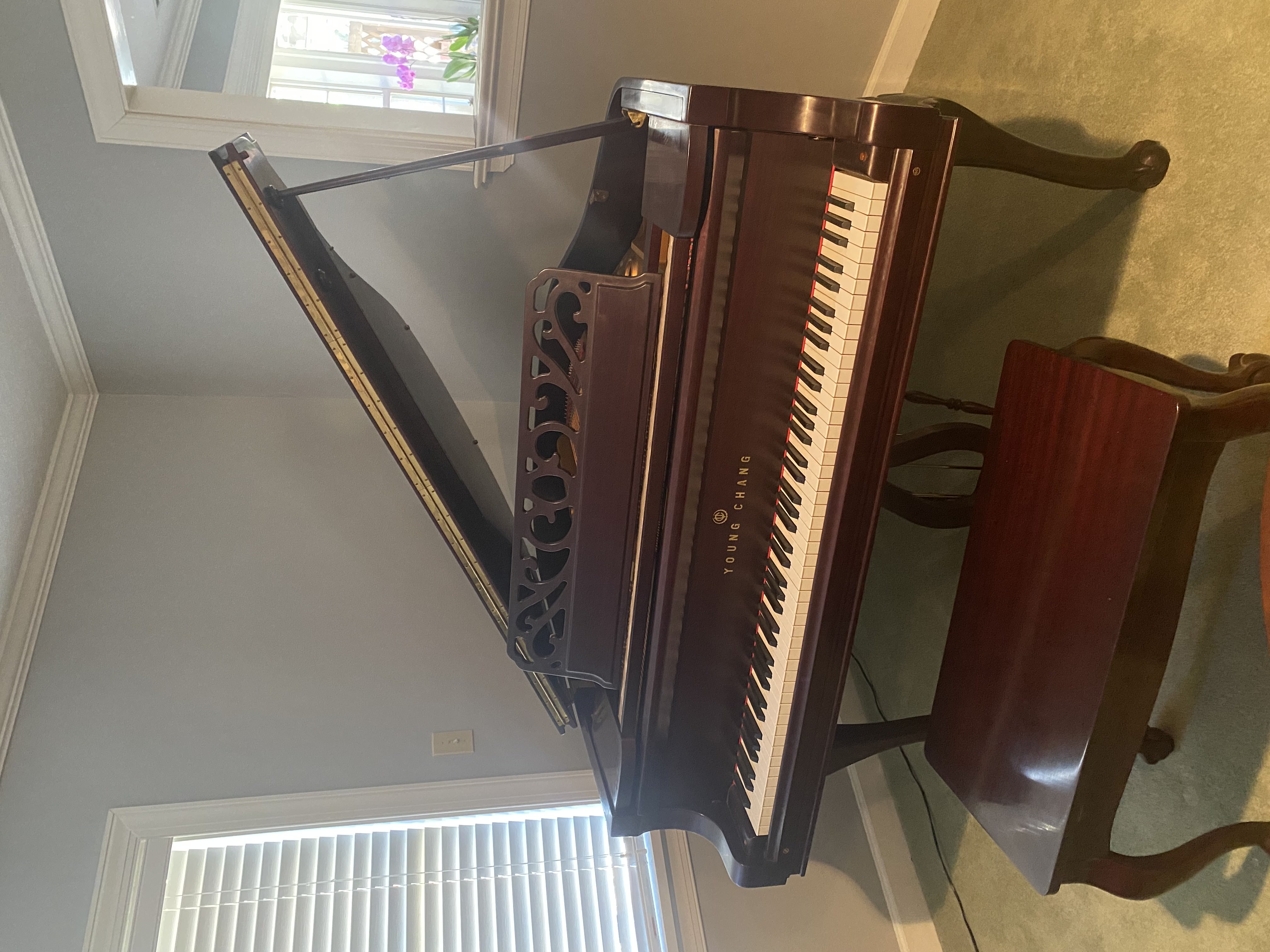 Young Chang G-157 Baby Grand