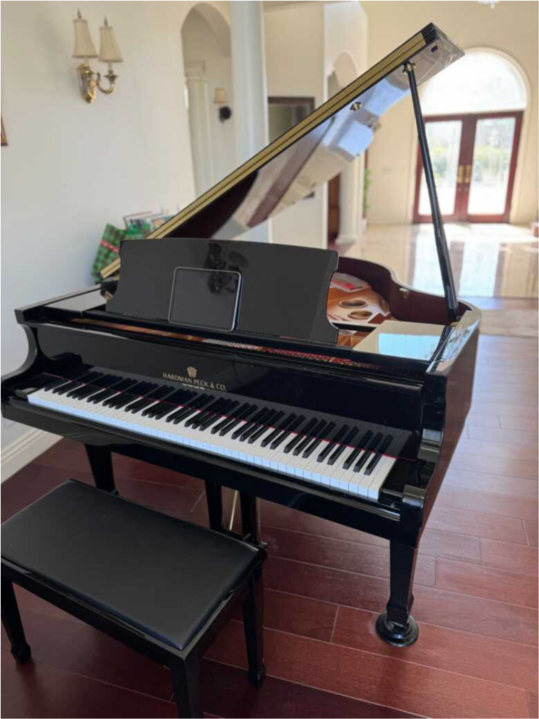 Impressive Grand Piano makes a great addition to your home