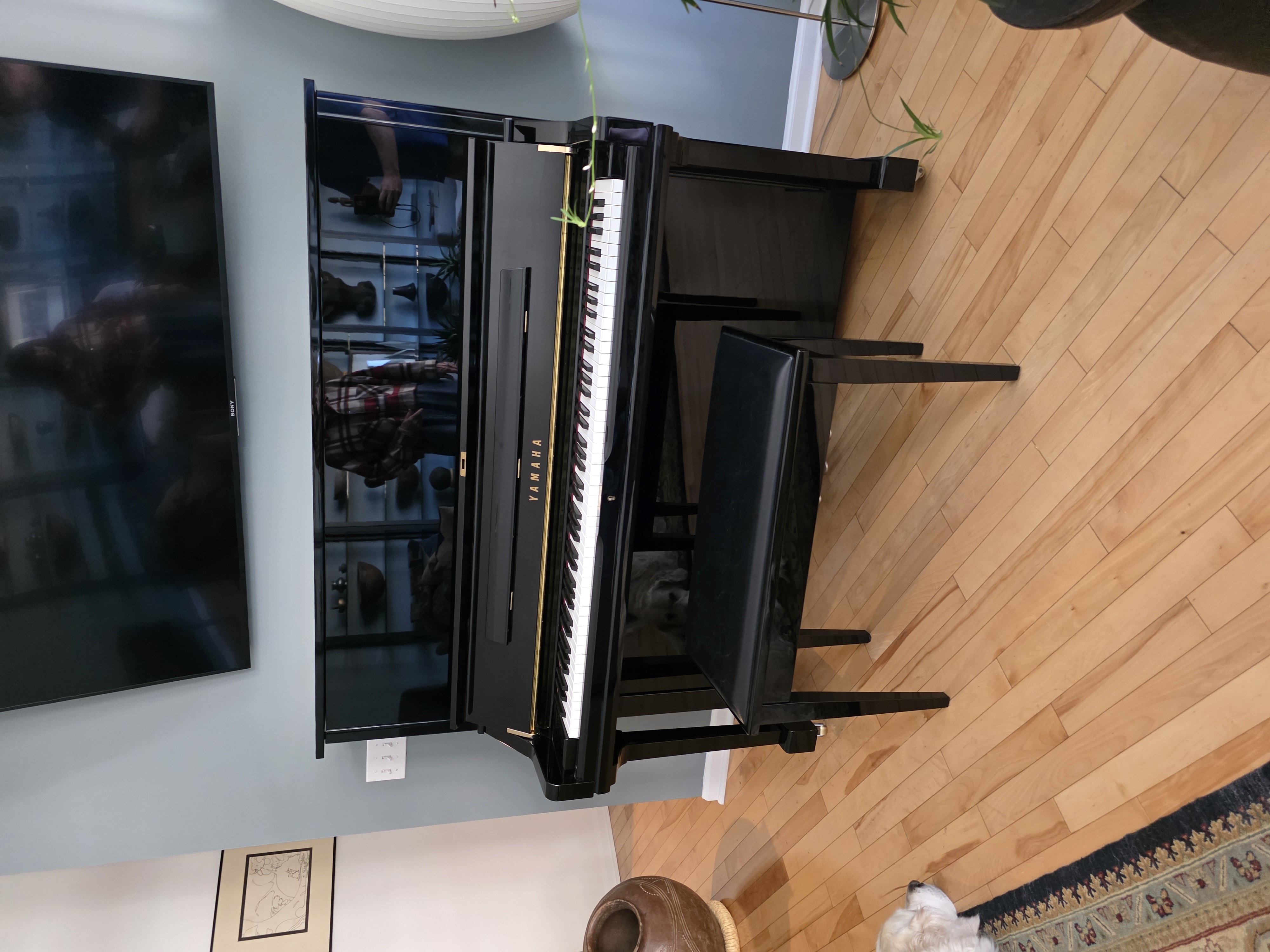 2014 Yamaha U3 Professional Upright Piano (52') Pristine
