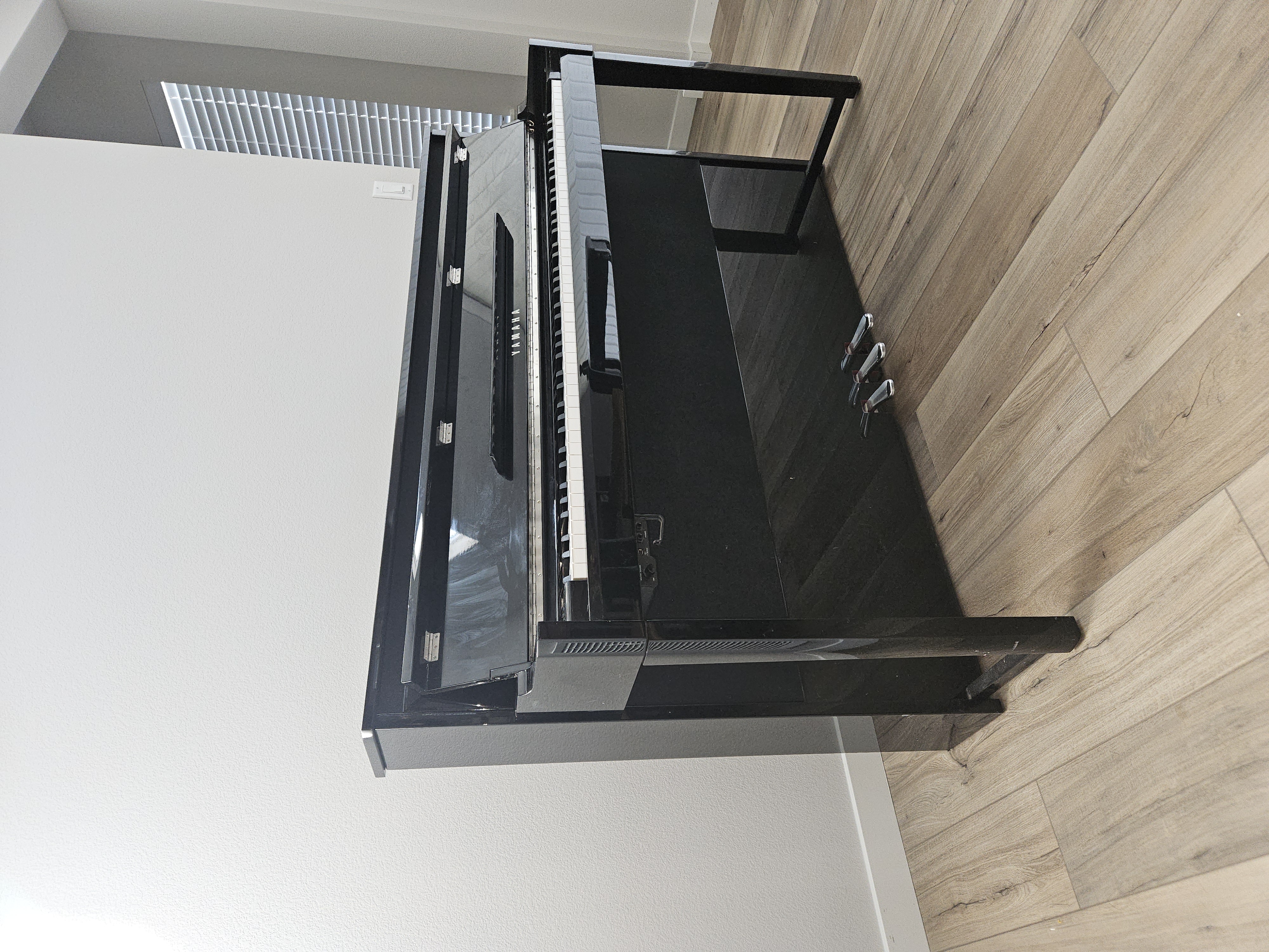 Hybrid Piano - AvantGrand NU1X