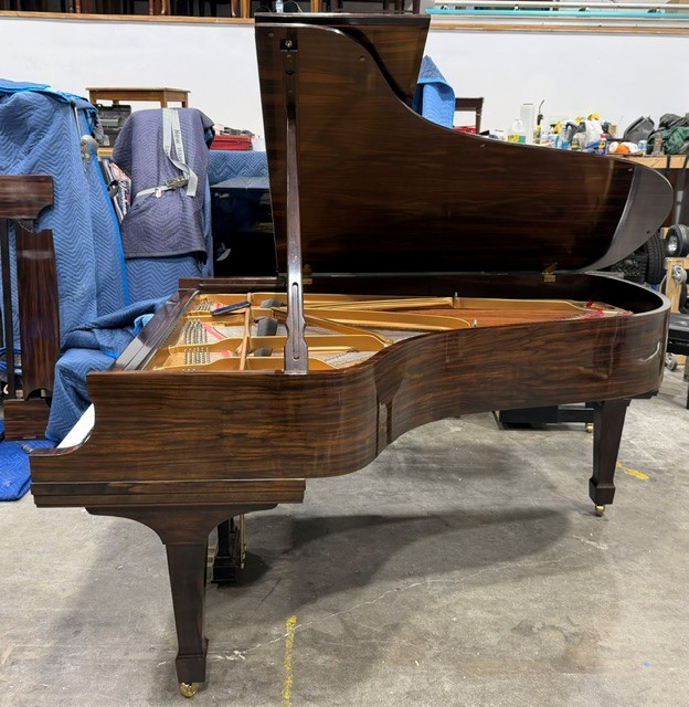 Steinway Crown Jewel Collection