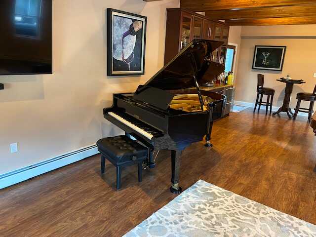 6'3" Petrof Grand Piano (with QRS player system)