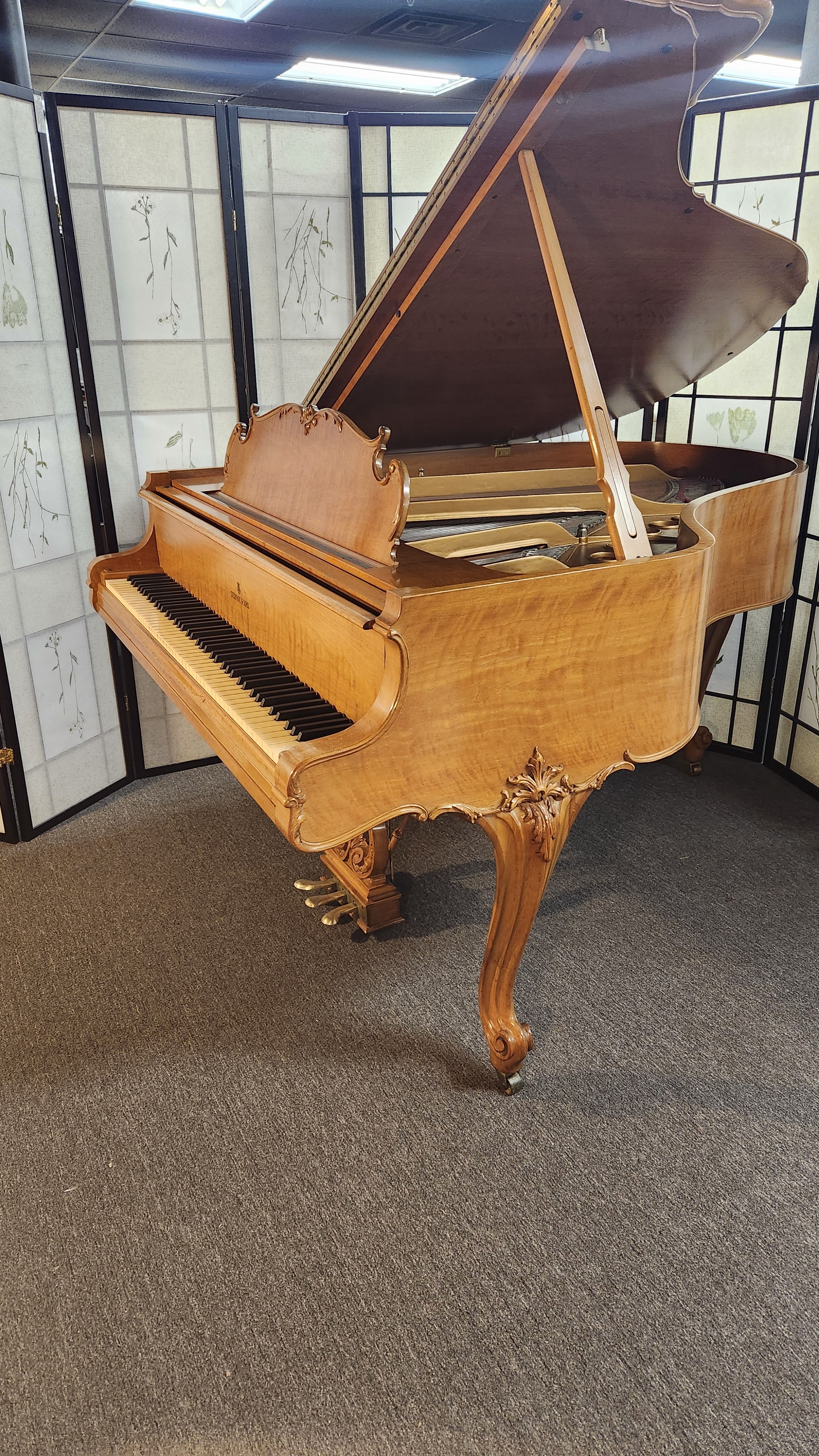 Steinway M King Louis XV Style (SEE VIDEO) Walnut, Excellent