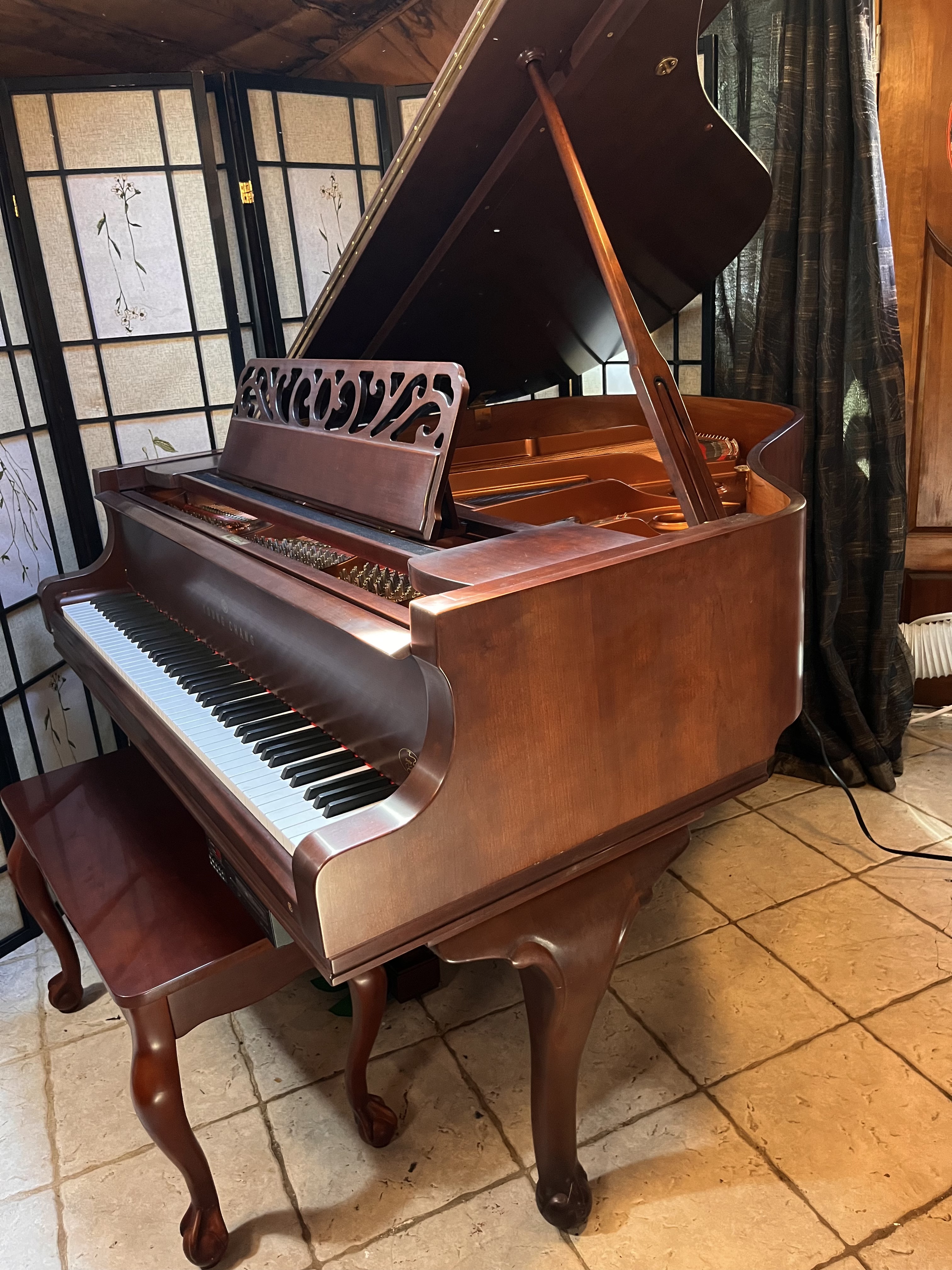 Pramberger Art Case Series Young Chang 2001 (VIDEO) WARRANTY