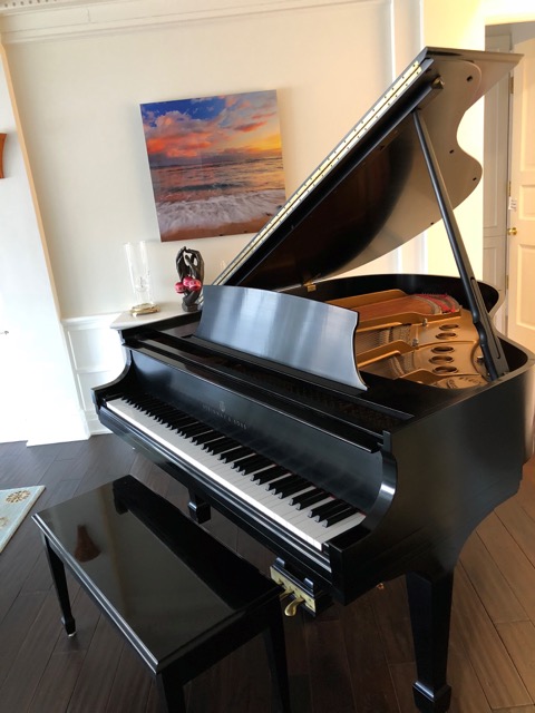 Steinway Baby Grand Model S 1986 MINT Condition *WARRANTY*