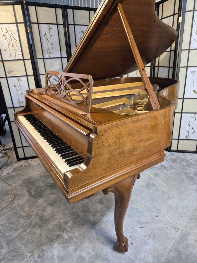 Art Case Steinway M Chippendale Style, Walnut. *Warranty*
