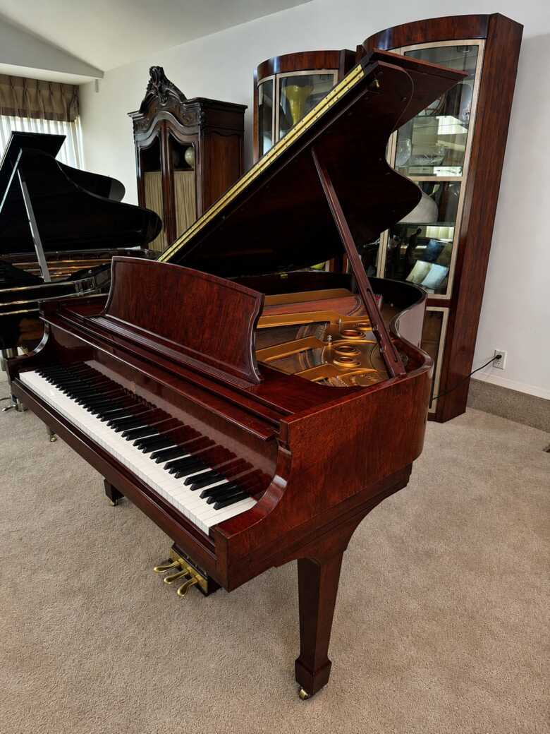 Steinway Crown Jewel L 1999, RARE SAPELE WOOD w/ PLAYER