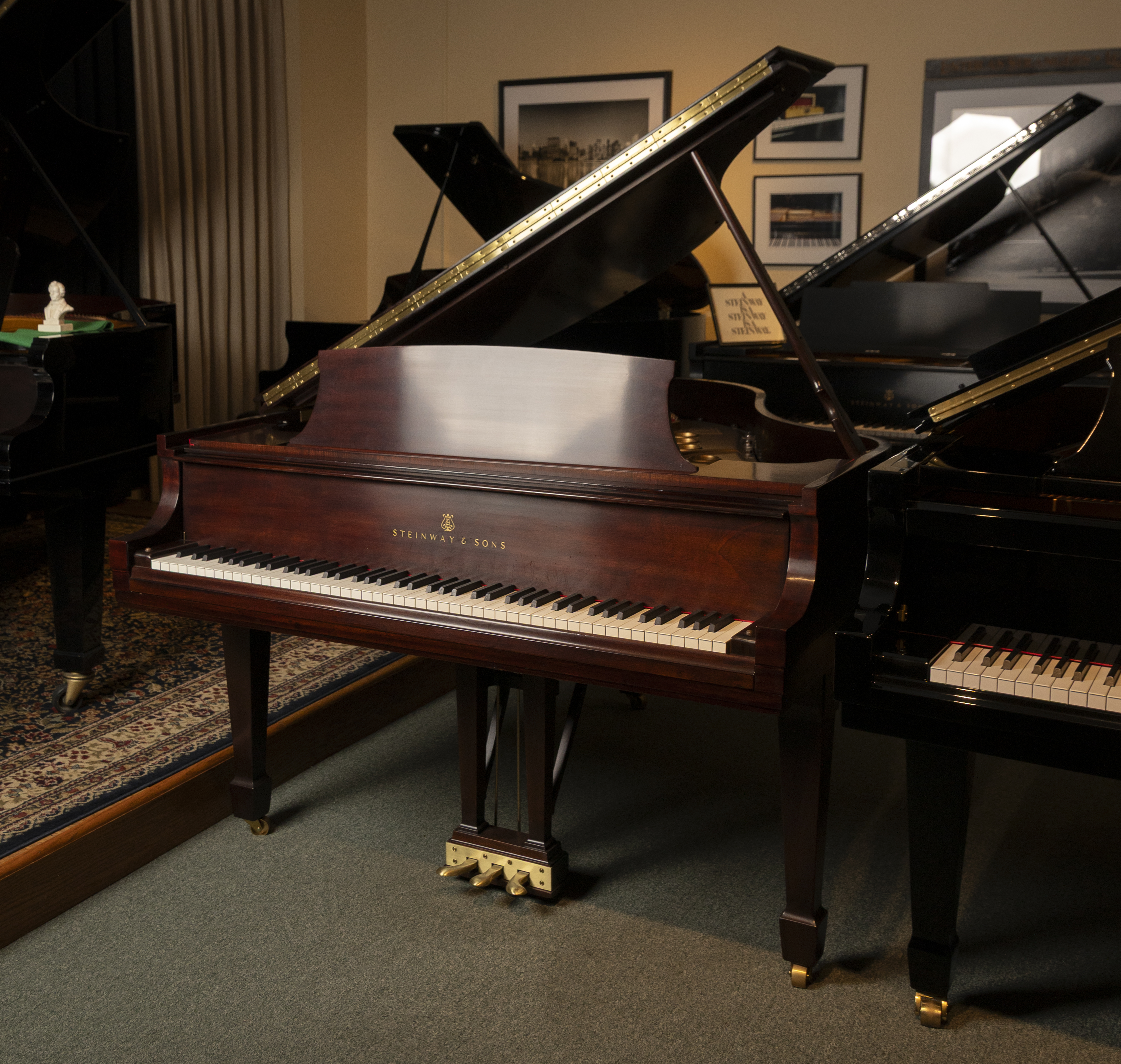 Steinway M - Completely Rebuilt with 5 year warranty!