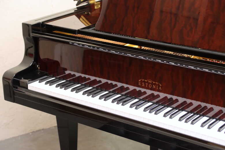 "Hidden Beauty" Estonia baby grand, best in class