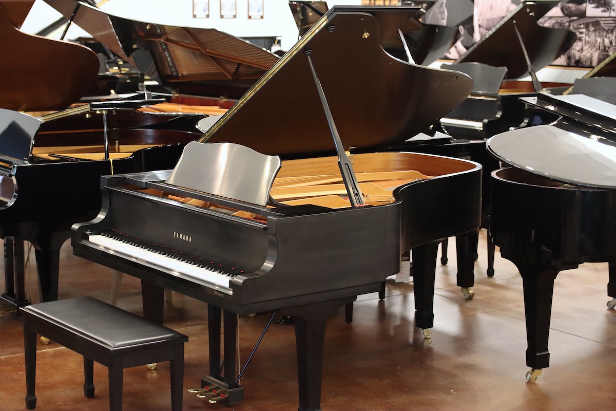 Professional instrument with Amateur past