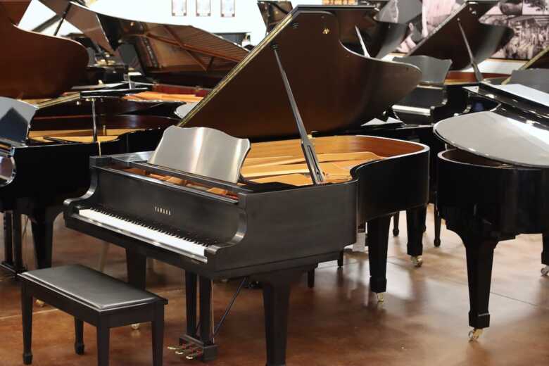 Professional instrument with Amateur past