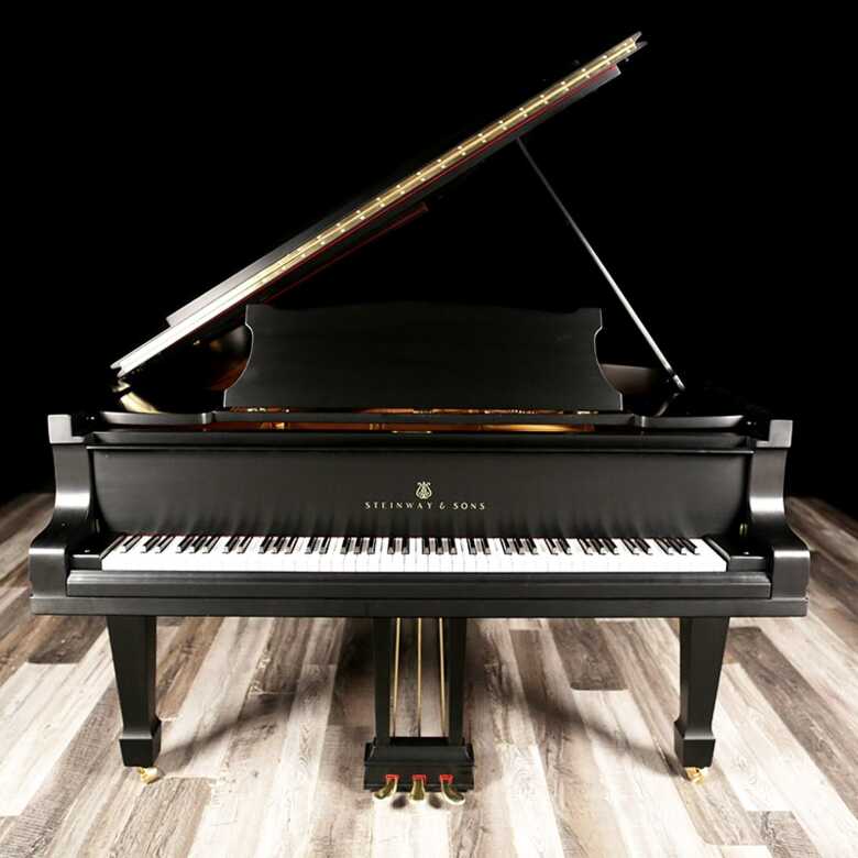 1925 Hamburg Steinway Model D Concert Grand Piano/Ships Free